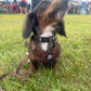 Adjustable Dog Harness - DUCK HUNTING DOG