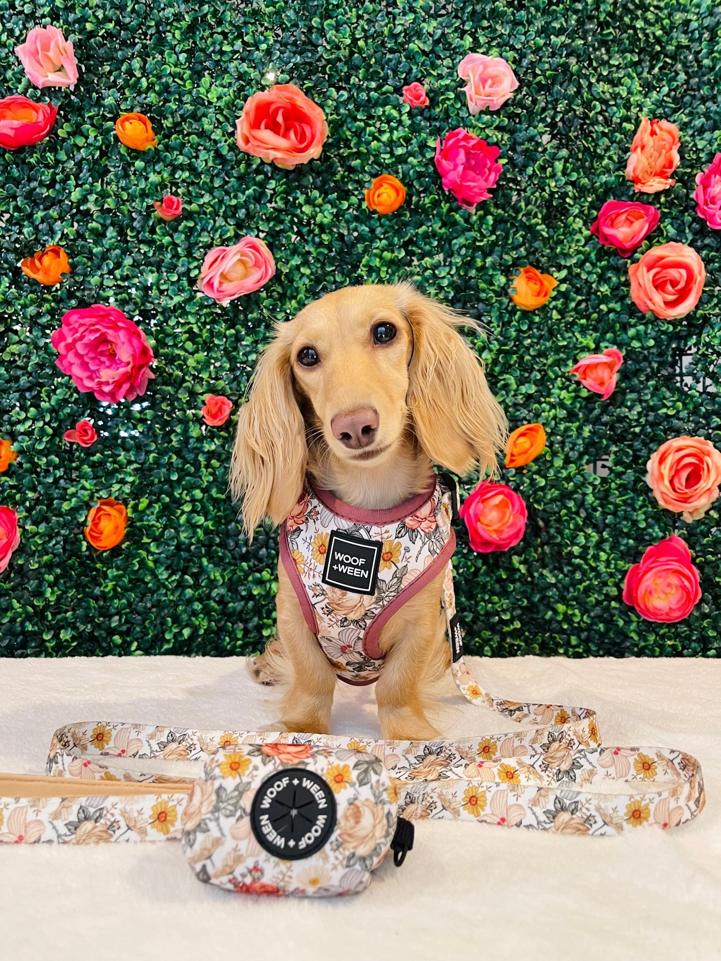Adjustable Dog Harness - FLOWER FIELDS