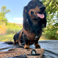 Adjustable Dog Harness - DUCK HUNTING DOG
