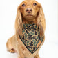 Dachshund wearing a black duck camo bandana