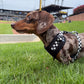 Adjustable Dog Harness - BLACK CHECKERED