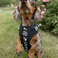 Adjustable Dog Harness - BLACK CHECKERED