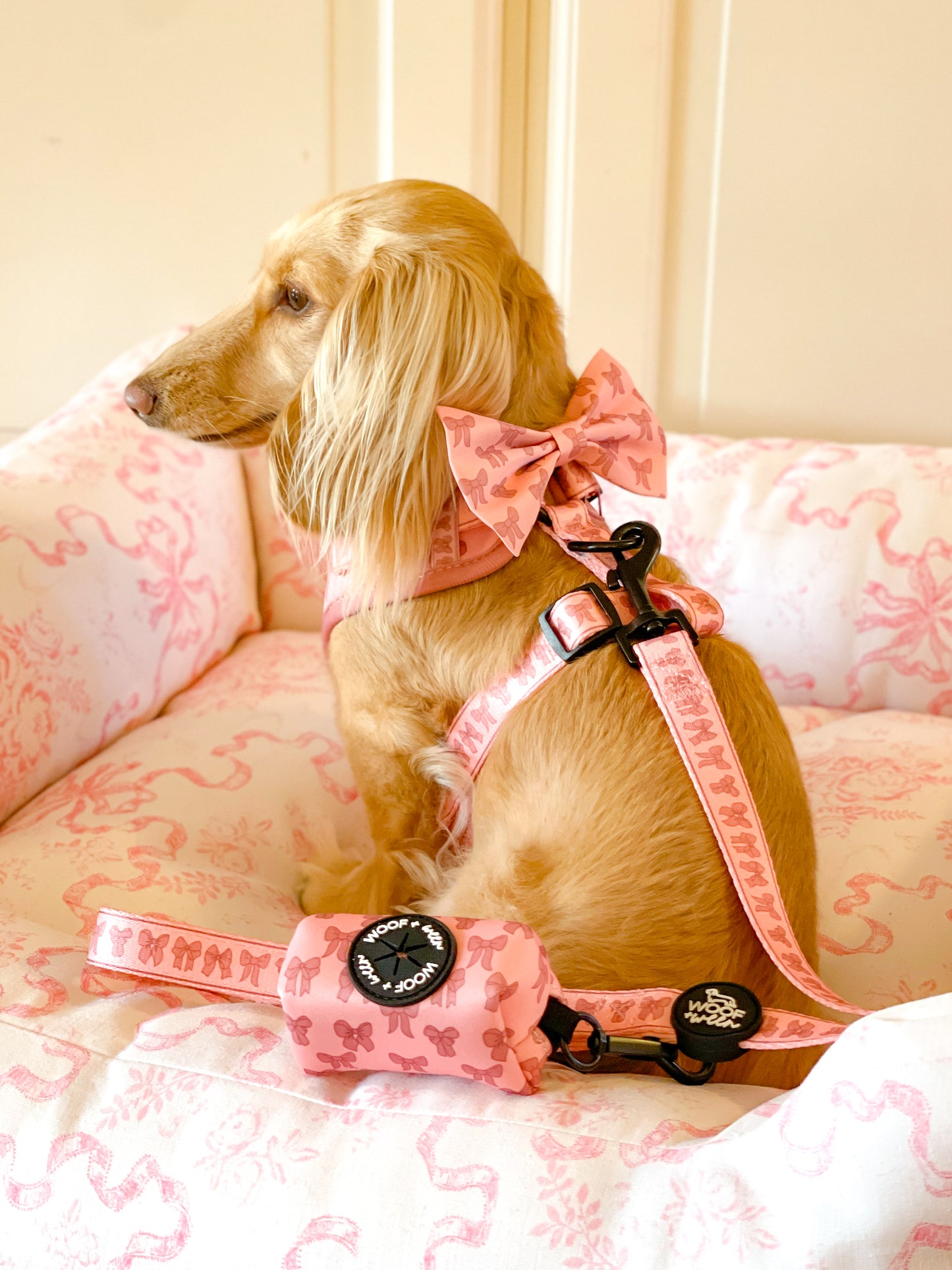 Leash - PINK COQUETTE