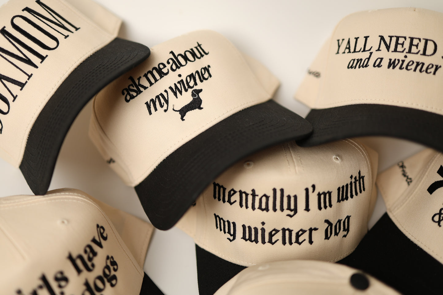 Dachshund Hat - mentally im with my wiener dog