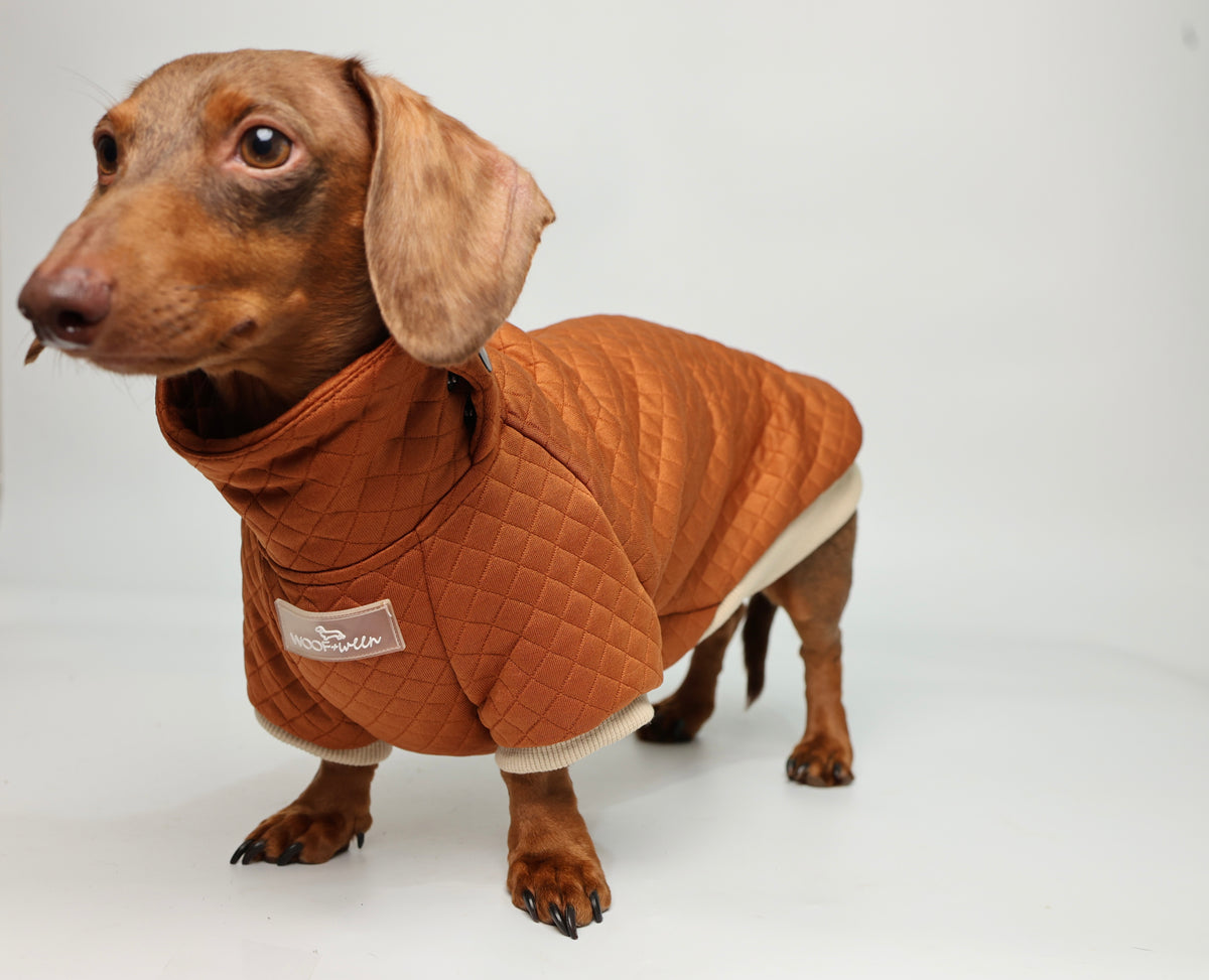 Dachshund Sweater - Rust Quilted Turtleneck Sweater