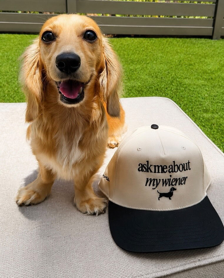 Dachshund standing beside ask me about my wiener embroidered woof+ween hat