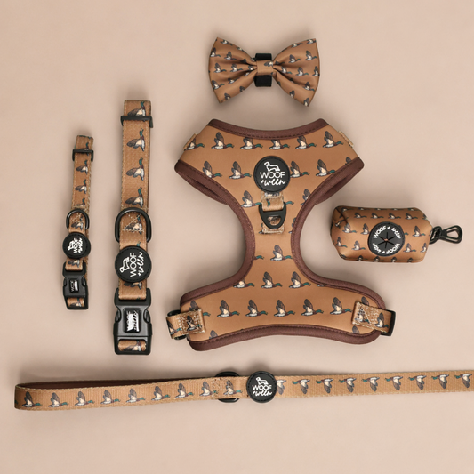Tan duck pattern dog harness collection with leash collar waste bag and bow