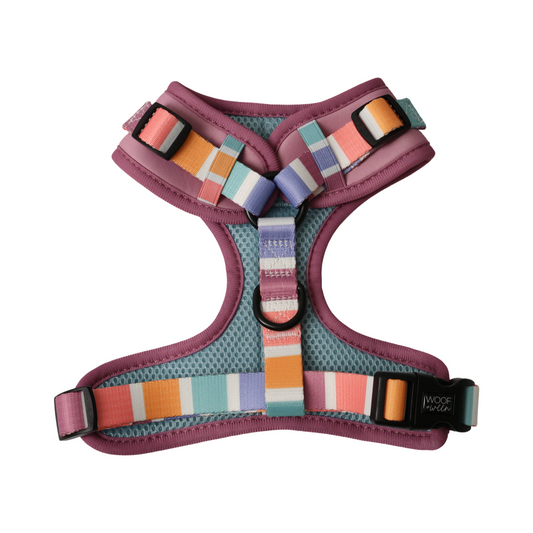 Adjustable Dog Harness - SORBET SUNSET
