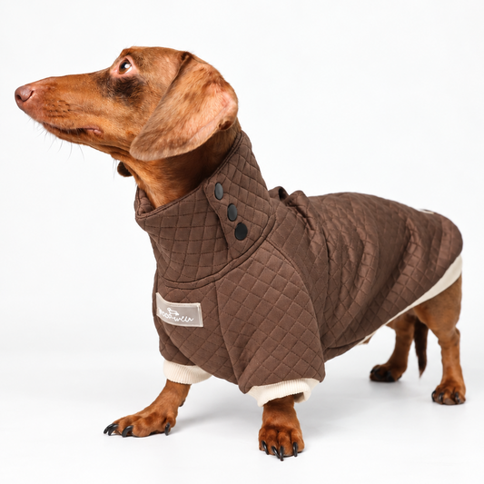 Dachshund Sweater - Chocolate Brown Quilted Turtleneck Sweater