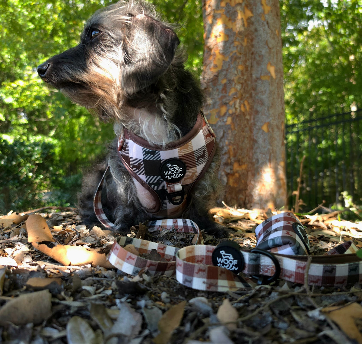 Adjustable Dachshund Harness - DOXIE PLAID