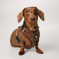 5-piece-bundle - DUCK HUNTING DOG