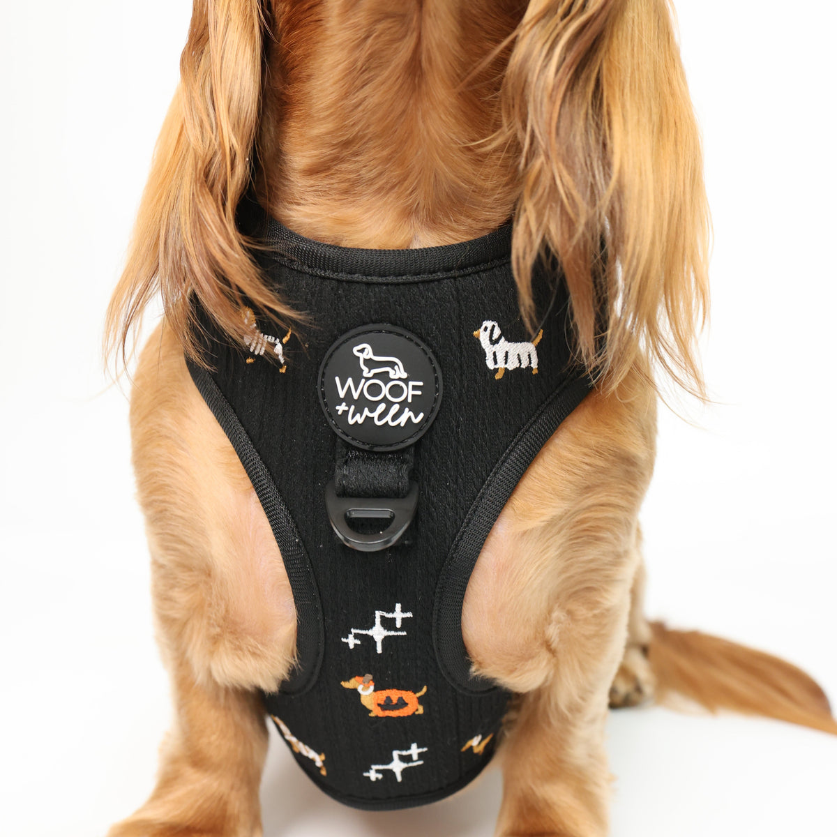 Halloweenie Doxies black knit embroidered dachshund Halloween harness detail shot