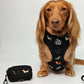 Halloweenie Doxies dachshund Halloween poo bag holder lifestyle photo black knit