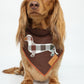 Dachshund Bandana - Doxie Plaid
