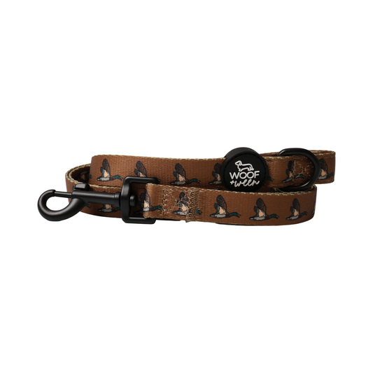 Leash - Duck Hunting Dog