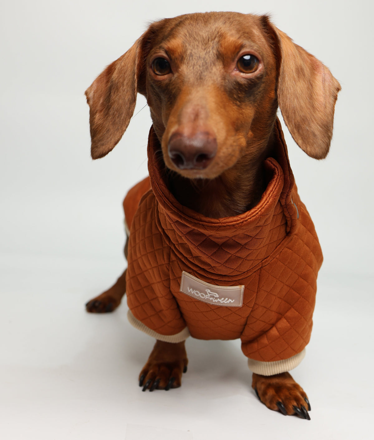 Dachshund Sweater - Rust Quilted Turtleneck Sweater