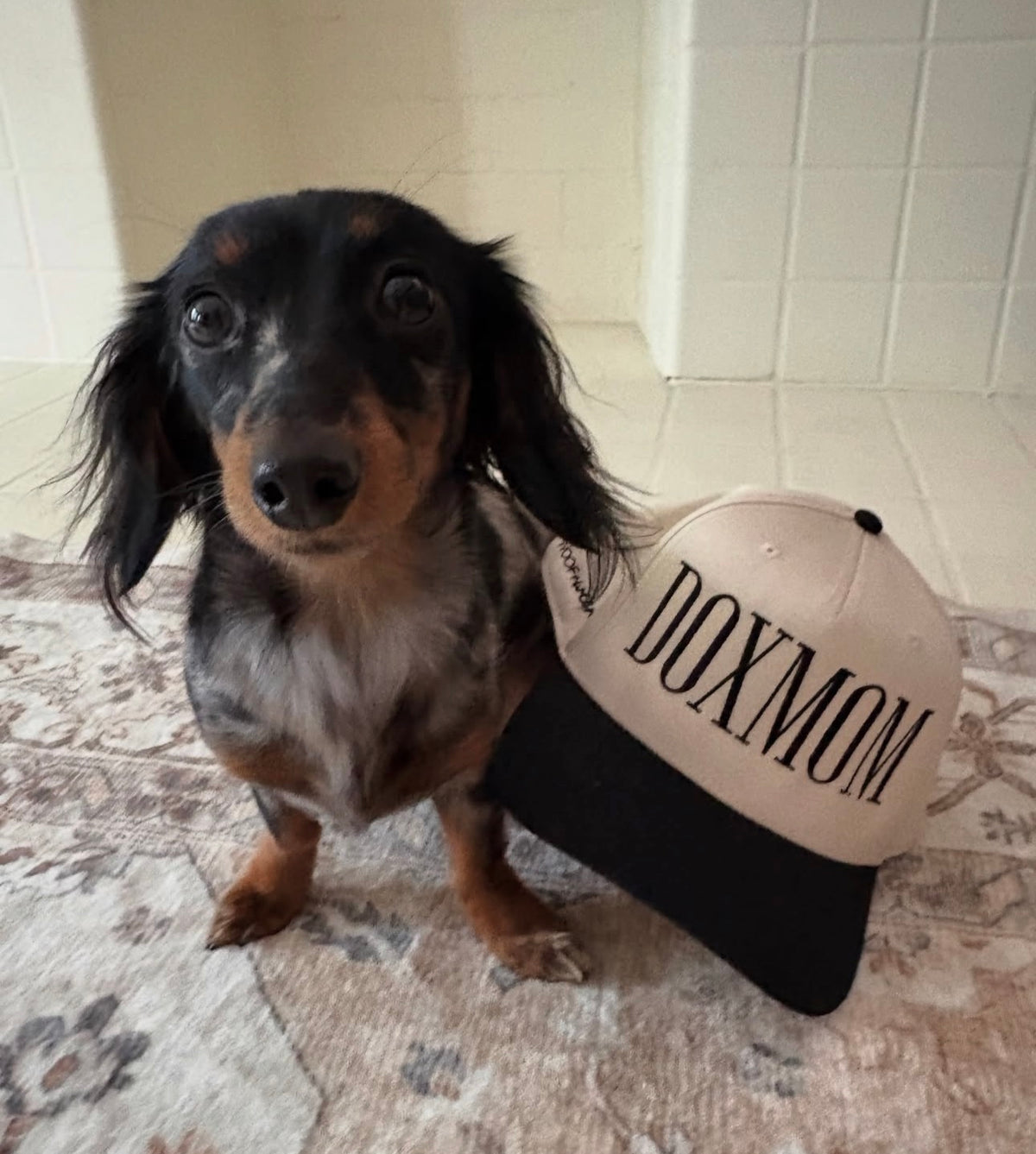 Dachshund Hat - Dox Mom