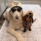 Dachshund Hat - Ask me about my wiener