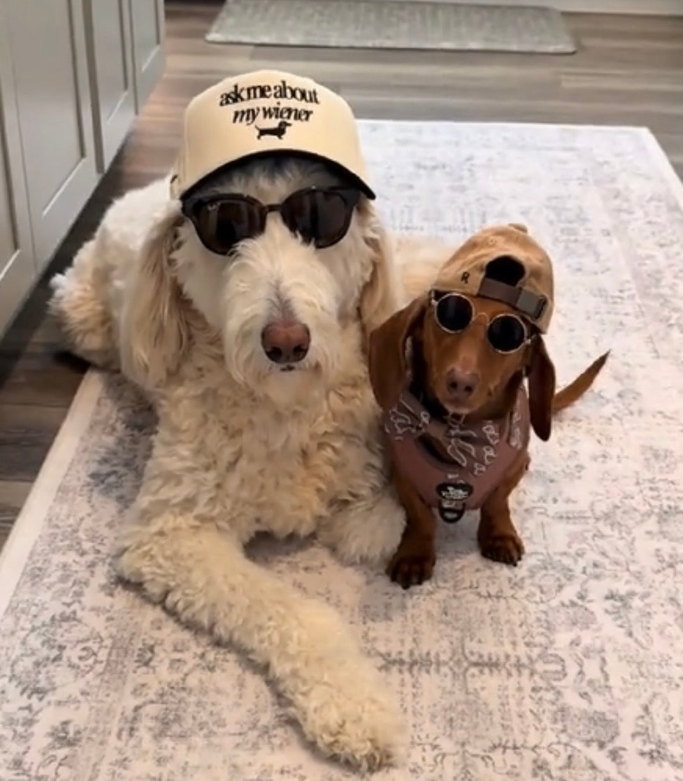 Dachshund Hat - Ask me about my wiener