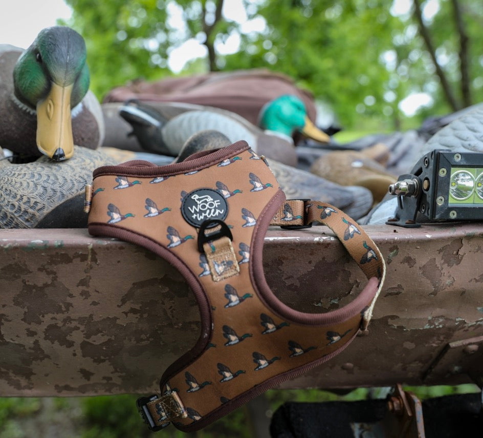 5-piece-bundle - DUCK HUNTING DOG