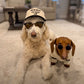 Dachshund Hat - Ask me about my wiener