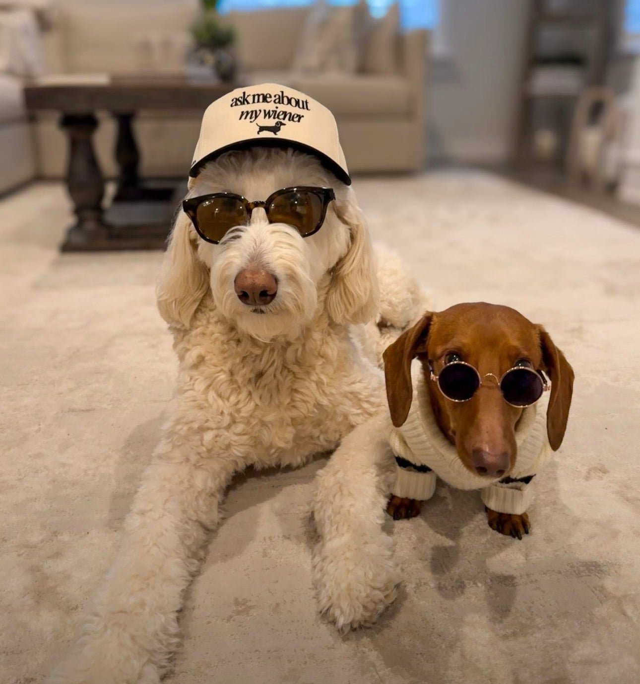 Dachshund Hat - Ask me about my wiener