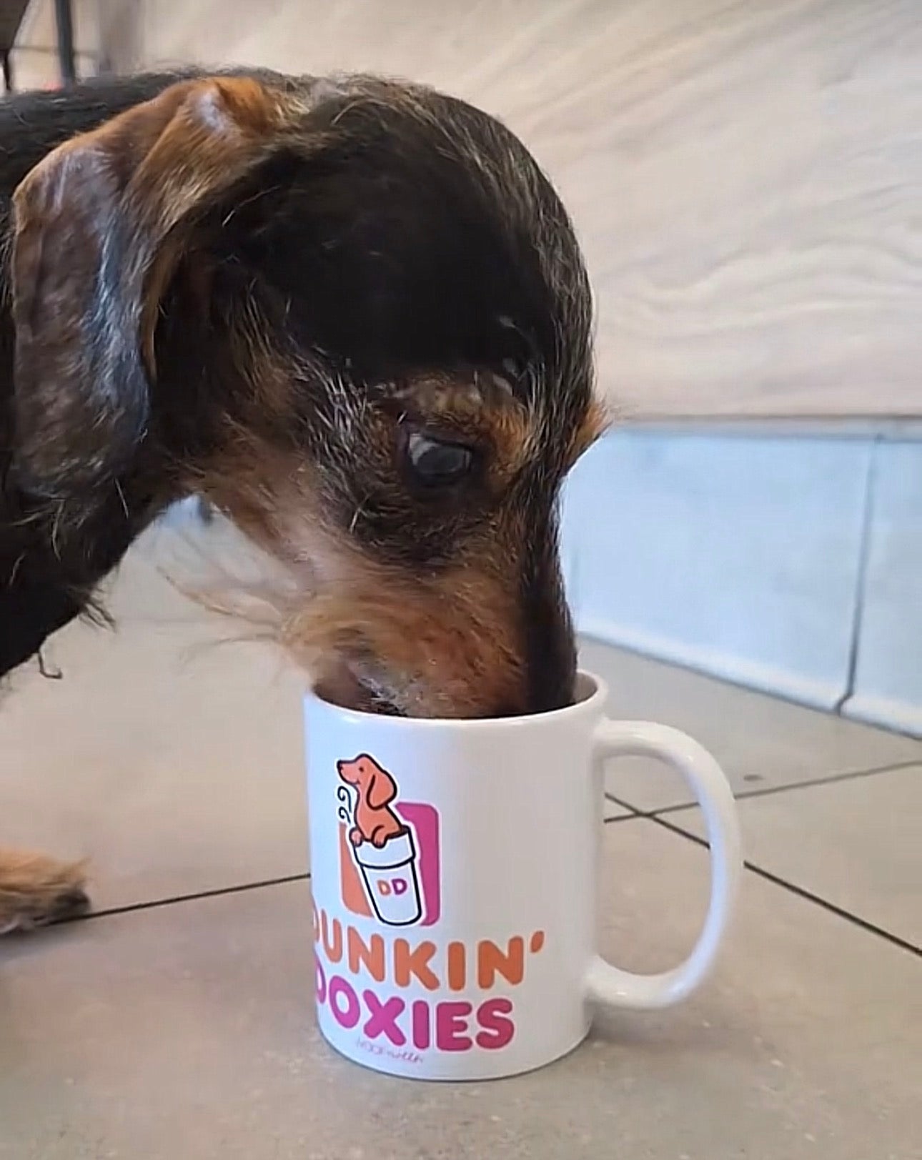 Dachshund Mug - Doxies Coffee