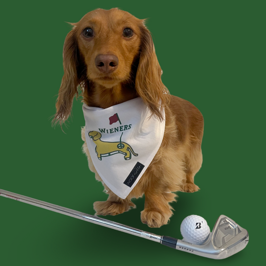 Dachshund Golf Bandana - WEENS ON THE GREENS