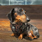Adjustable Dog Harness - BLACK DUCK CAMO