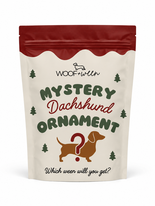 COMING SOON! WAITLIST Mystery Dachshund Christmas Ornament - Collect ALL 7