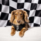 Adjustable Dog Harness - BLACK CHECKERED