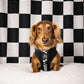 Adjustable Dog Harness - BLACK CHECKERED