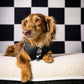 Adjustable Dog Harness - BLACK CHECKERED
