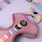 5-piece bundle - SORBET SUNSET