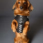 Adjustable Dog Harness - BLACK CHECKERED