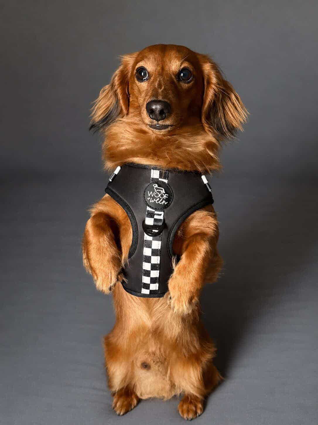Adjustable Dog Harness - BLACK CHECKERED