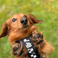 Adjustable Dog Harness - BLACK CHECKERED