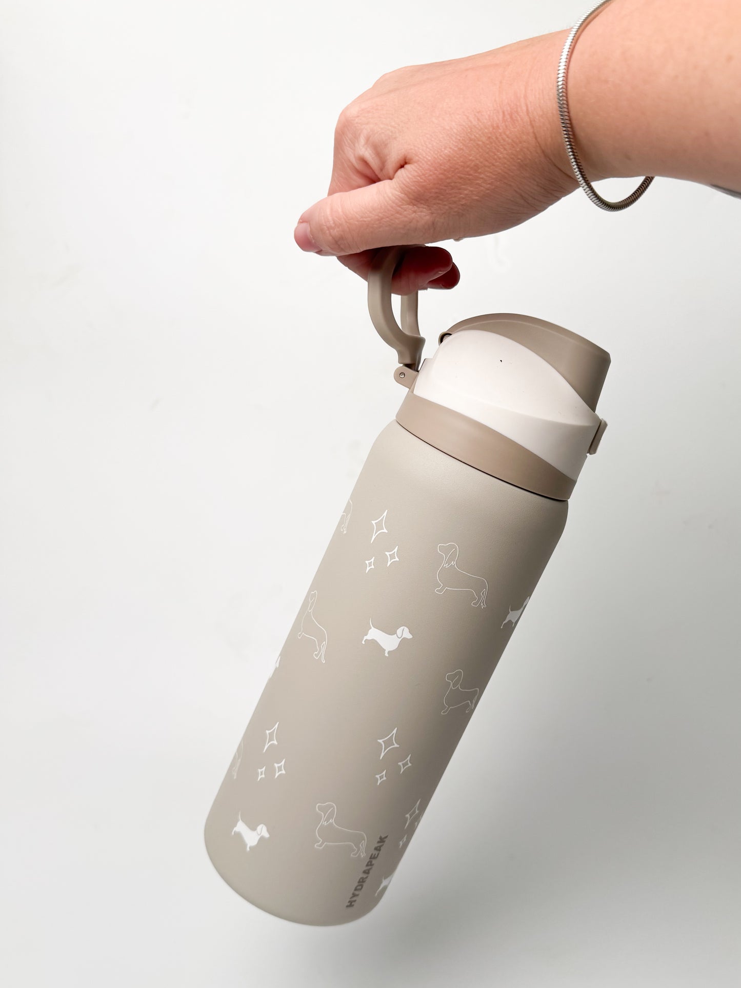 Dachshund Insulated Water Bottle - Whimsical Weens