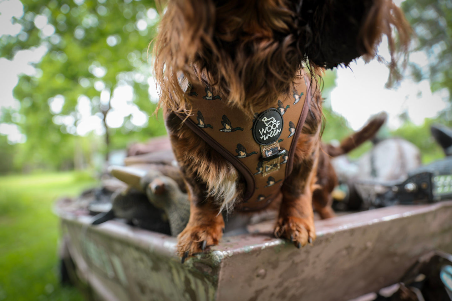 5-piece-bundle - DUCK HUNTING DOG