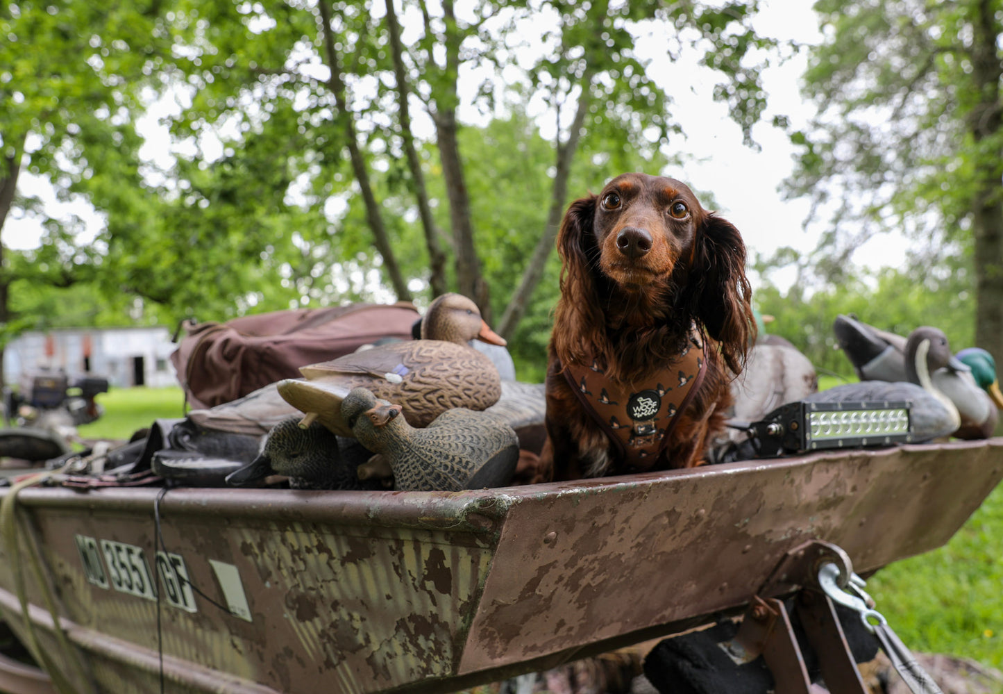 5-piece-bundle - DUCK HUNTING DOG