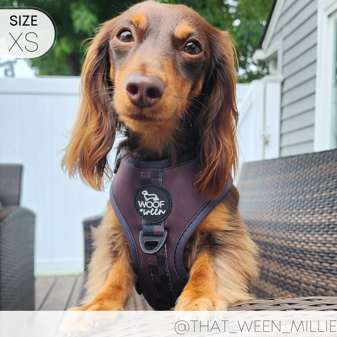 Adjustable Dog Harness ESPRESSO – WOOF WEEN - Main Image
