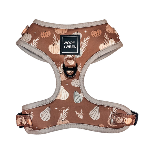 Fall pumpkin dog harness