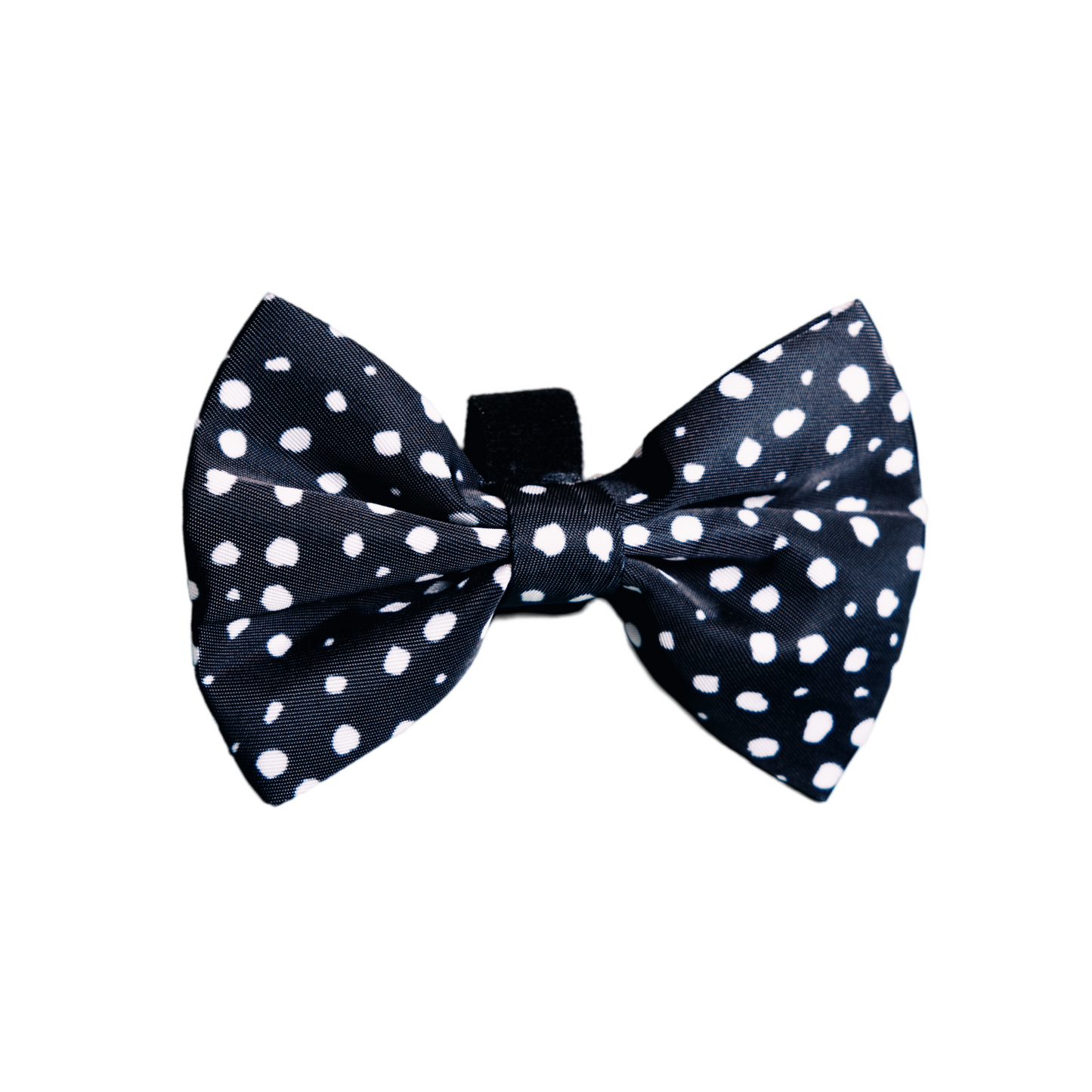 Bow - EVERGREEN POLKA DOT