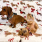 Dachshund Blanket - DOXIE CHRISTMAS COQUETTE