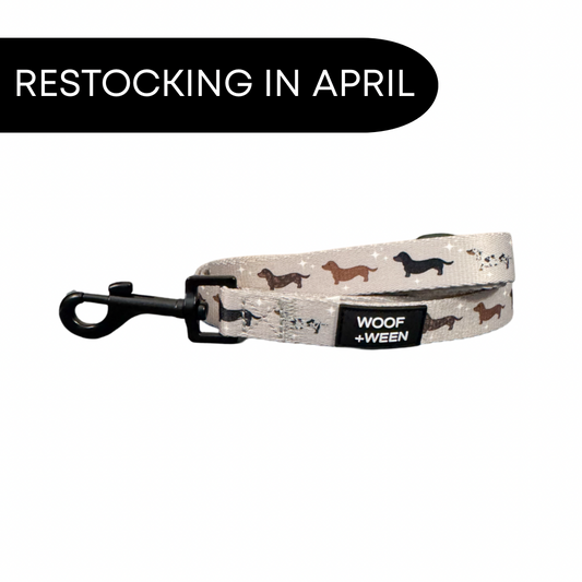 Leash - WHIMSICAL WEENS