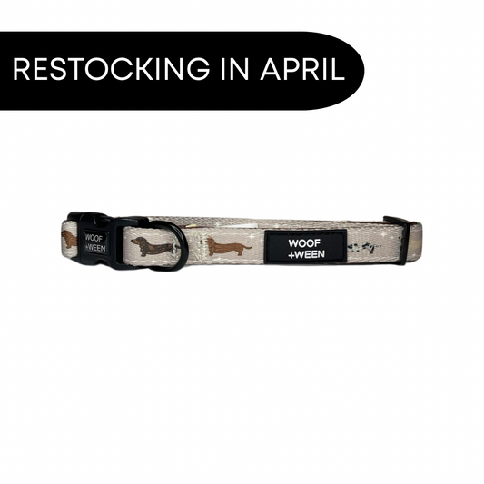 Collar - WHIMSICAL WEENS