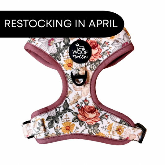 Adjustable Dog Harness - FLOWER FIELDS