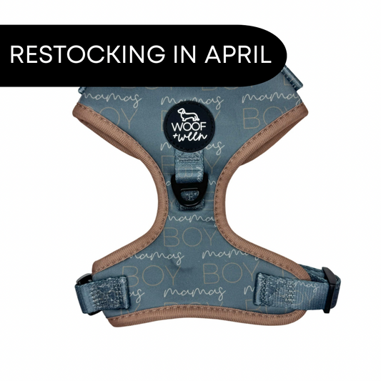 Adjustable Dog Harness - MAMAS BOY