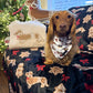 Dachshund Gingerbread Blanket Black