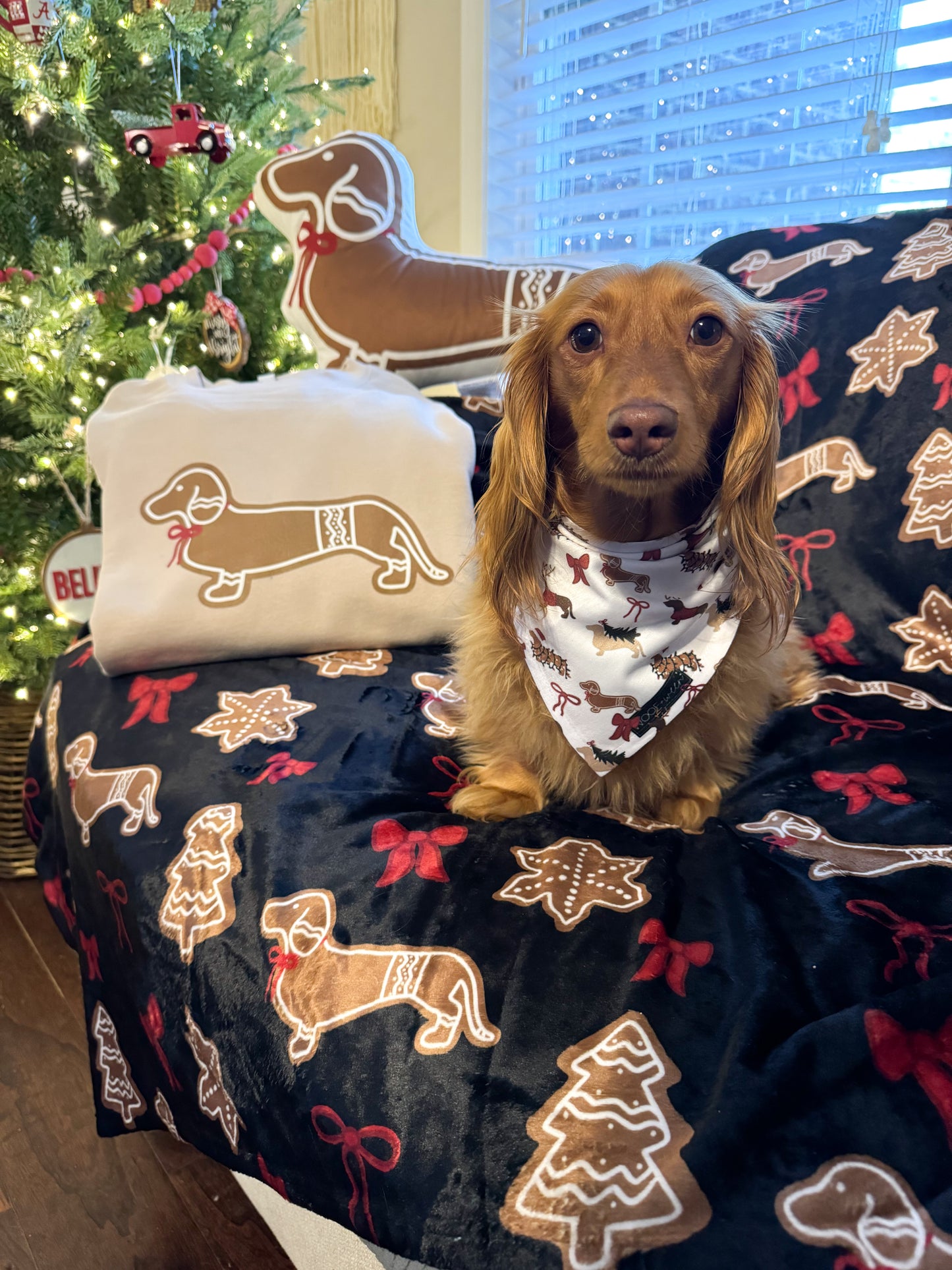 Dachshund Gingerbread Blanket Black